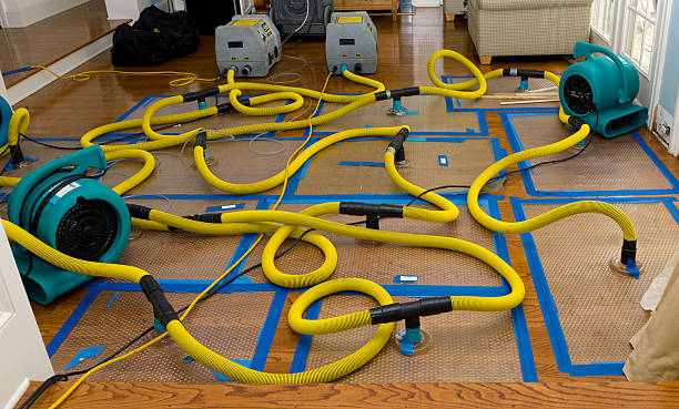 Professional Sewage Cleanup technician working in Peru, IL